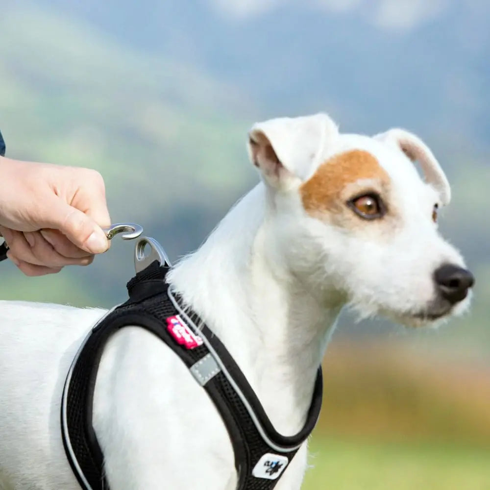 High - Quality Magnetic Harness Vest for No - Pull Control of Small and Medium - Sized Dogs