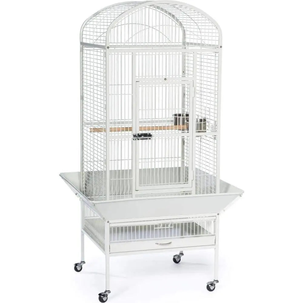 Prevue Pet Products Medium-Sized Dome Top Bird Cage in Chalk White Color