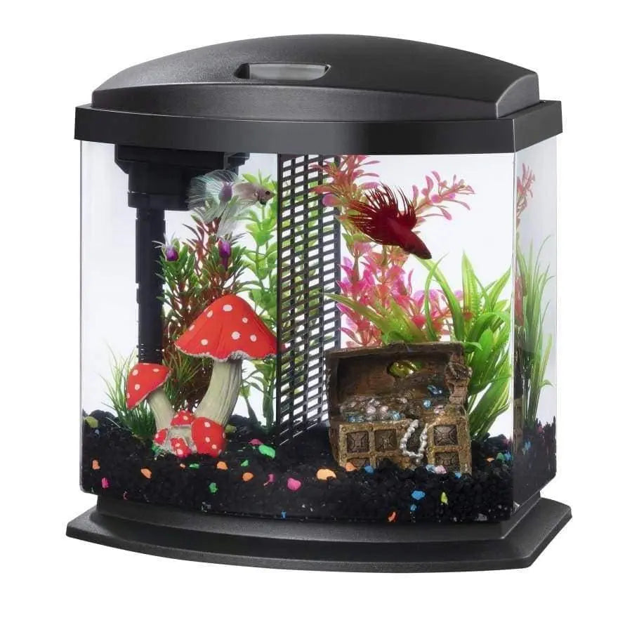 Aqueon 2.5 - gallon SmartClean Black LED Betta Bowl Aquarium Kit for Fish Keepers