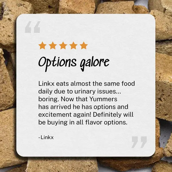 Yummers Gourmet Freeze - dried Single - source Beef Liver Meal Mix - in as a Tasty Food Topper for Cats, 2.5 oz.
