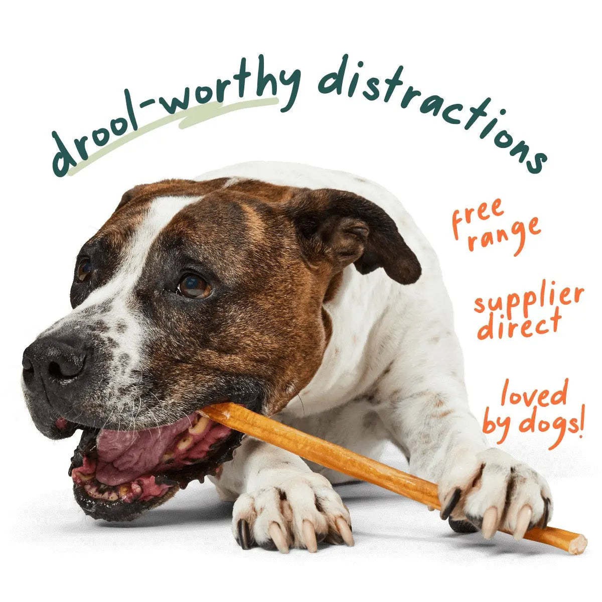 Woof Pet Bullysafe All - Natural Pure Collagen Chews as Premium Dog Treats