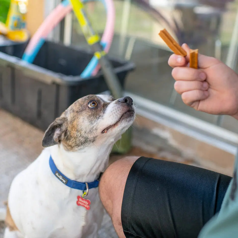 Loving Pets Chicken-Flavored Dental Treat Toothsticks for Canine Companions