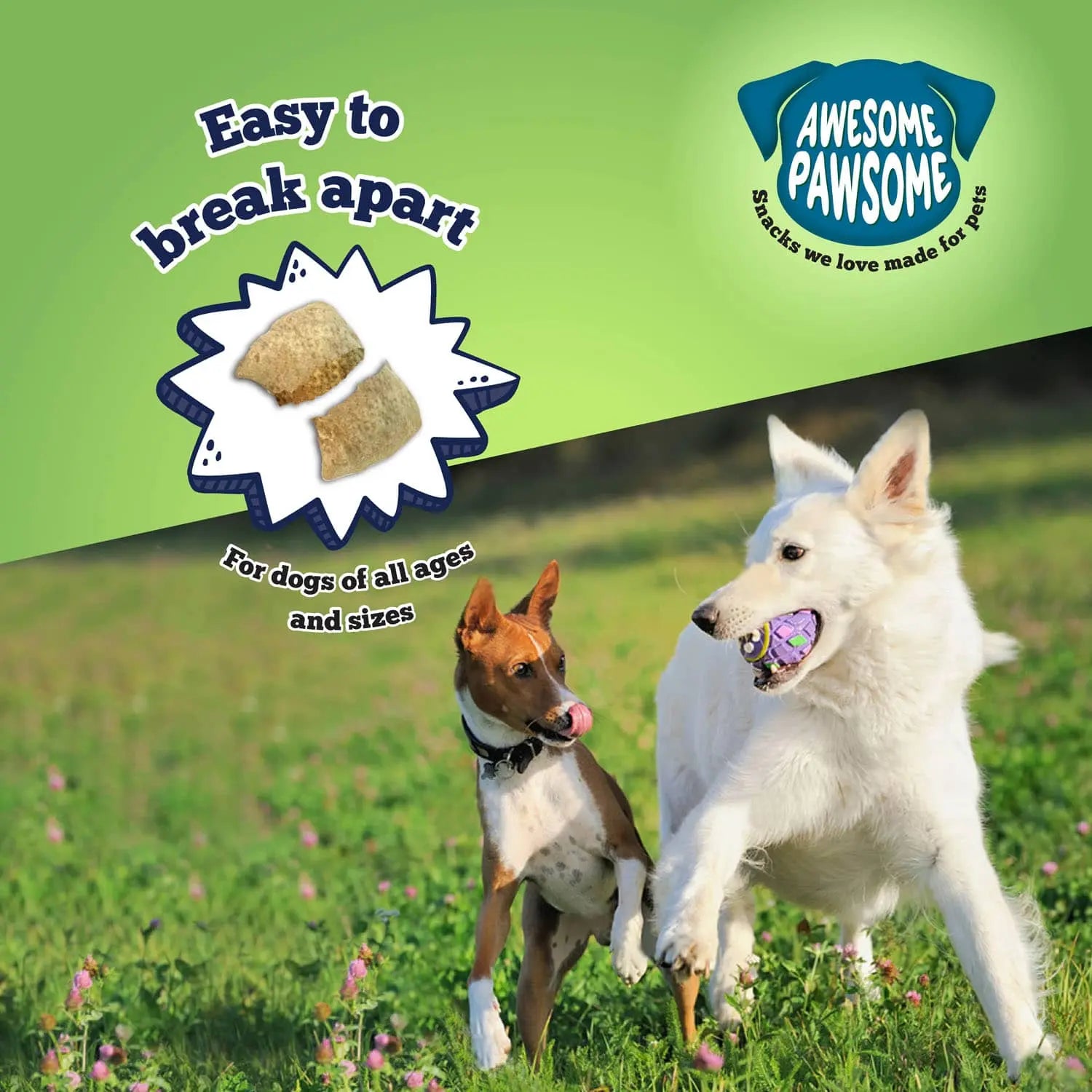 Delicious All - Natural 3oz Chicken Dumpling Dog Treats by Awesome Pawsome