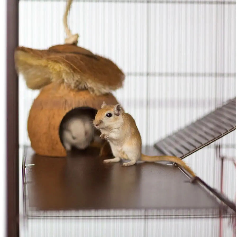 Prevue Pet Naturals Handmade Small Animal Hideout Toy