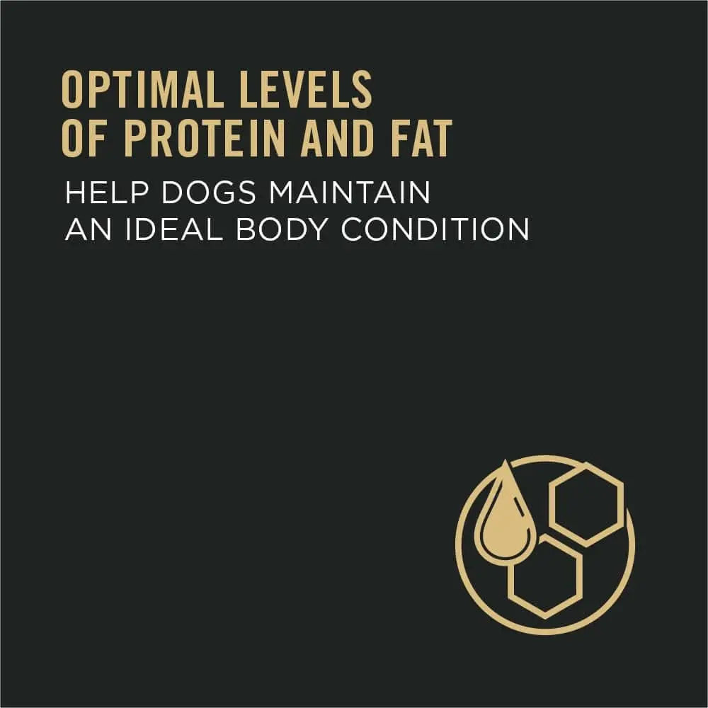 Pro Plan Complete Essentials Shredded Blend: Salmon & Rice Dog Food with Probiotics