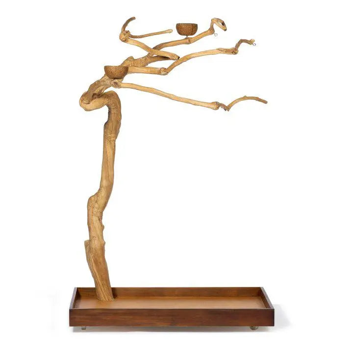 Prevue Pet Products Sustainable Coffeawood Floor Stand Perch Tree Style 2 for Large Birds