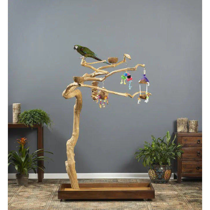 Prevue Pet Products Sustainable Coffeawood Floor Stand Perch Tree Style 2 for Large Birds