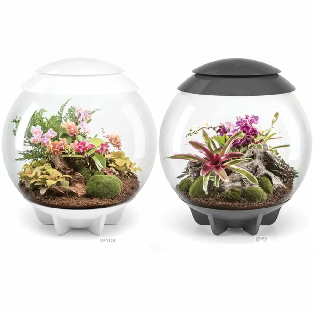 biOrb AIR 30 LED Acrylic Terrarium with Automated Care and 360 - Degree View