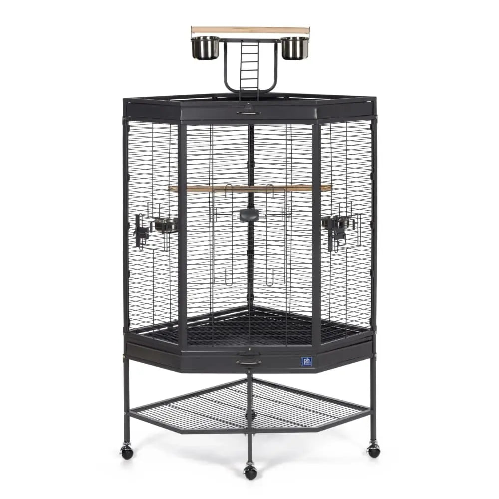 Prevue Pet Products Corner Cage for Small Parrots with a Fun Playtop