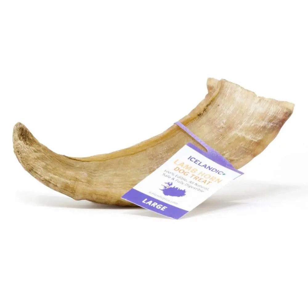 Icelandic Premium Large-Sized Individual Lamb Horn Dog Treat