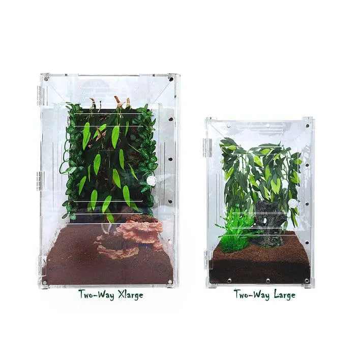 Large Transparent Acrylic Two-Way Enclosure for Reptile Breeding Terrarium Cage Tank