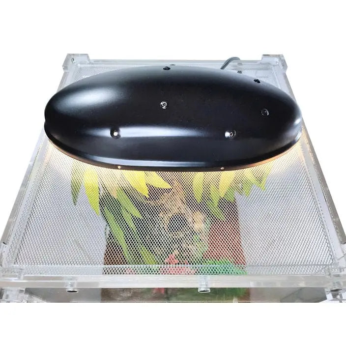 Transparent Acrylic Front-Opening Terrarium Cage for Gecko Reptile Breeding