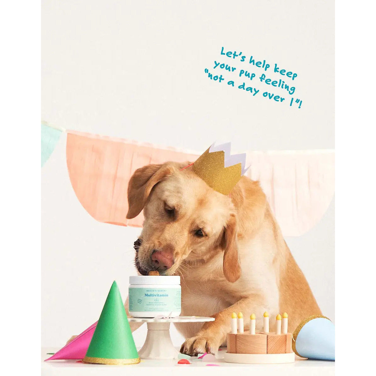 Bocce's Bakery 60-Count Soft Chew Multivitamin Supplements for Dogs