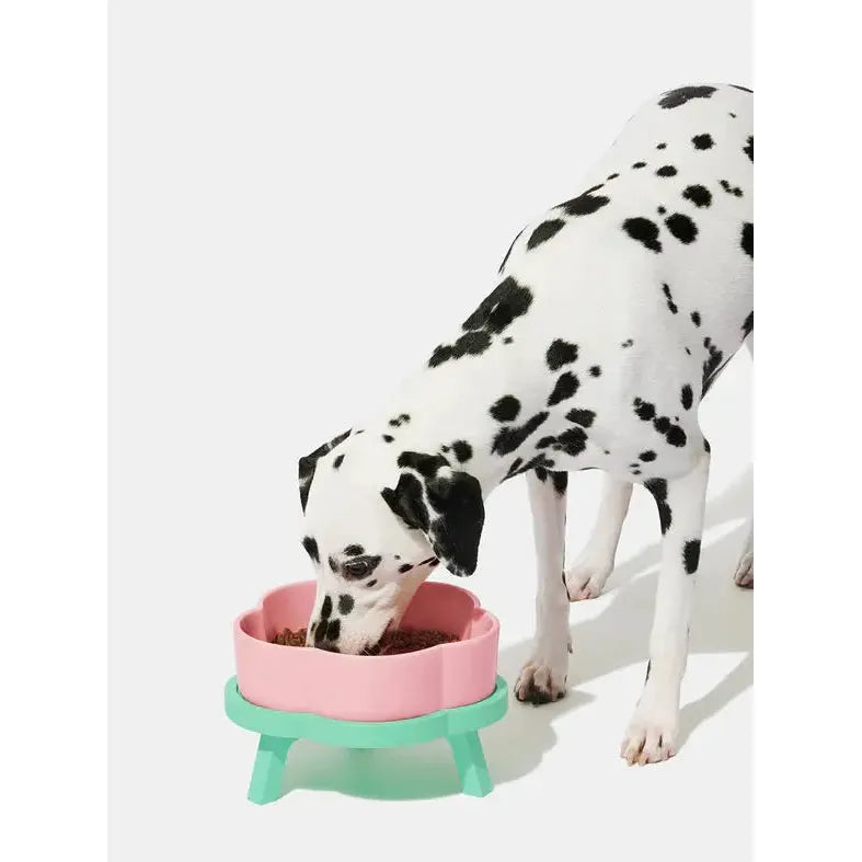 Vetreska Modern and Stylish Flora-Shape Ceramic Pet Bowl Set with Beechwood Stand