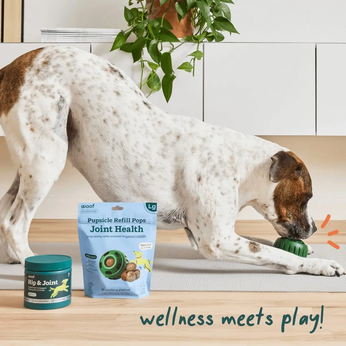 Woof Pupsicle Long - Lasting Hip & Joint Health Refill Dog Lickable Treats