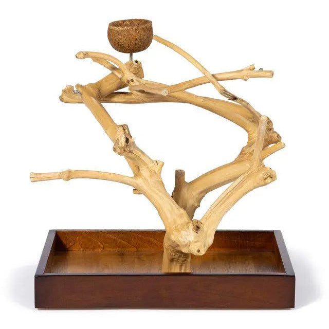 Prevue Pet Products Mini Table Top Playstand Made of Coffeawood for Small Birds