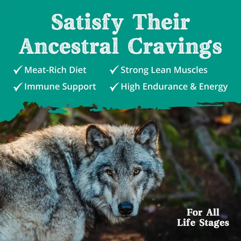 Ancestry Premium Lamb Meal & Brown Rice Dry Kibble Dog Food for All Life Stages
