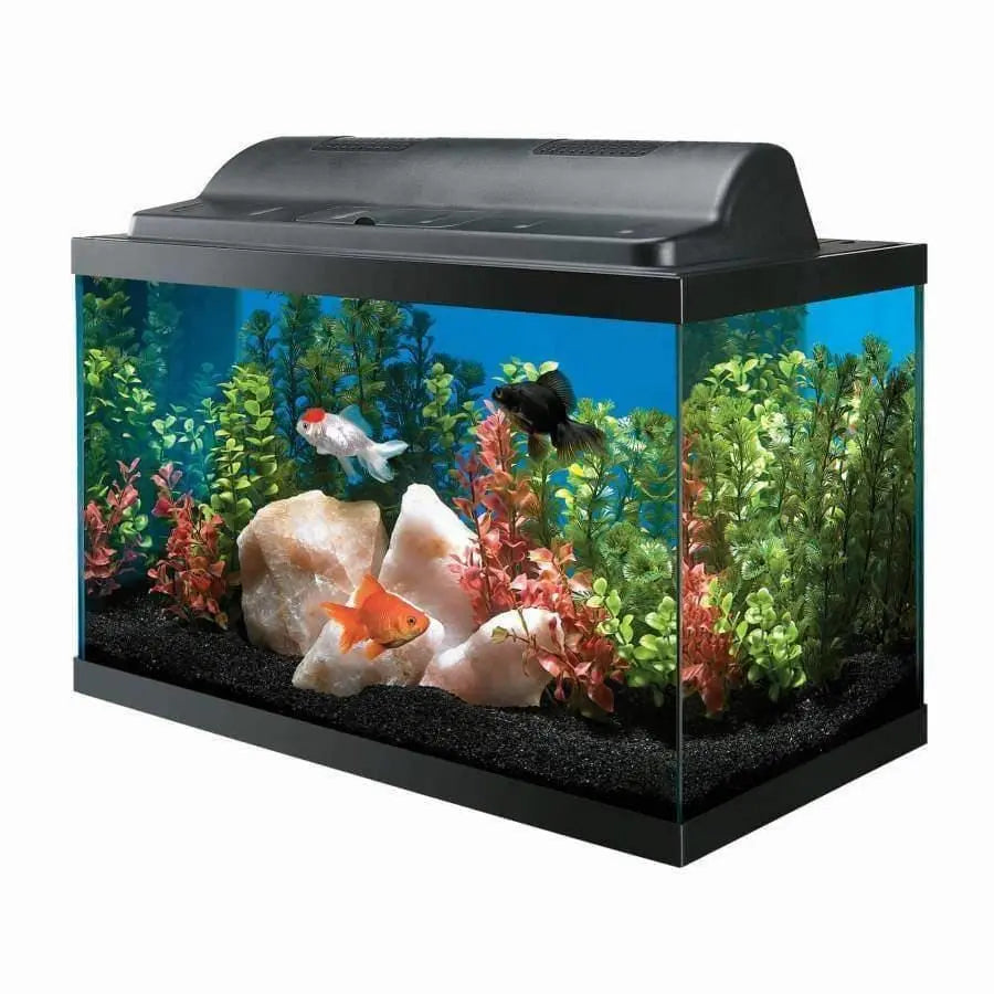 Aqueon Starter Incandescent Aquarium Kit - Ideal for New Aquarists (1 Unit of Size 10)