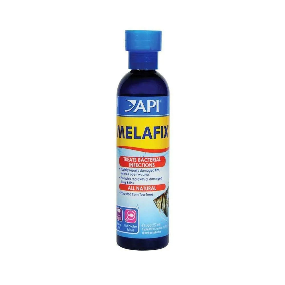 API Melafix: All-Natural Antibacterial Remedy for Fish Infections