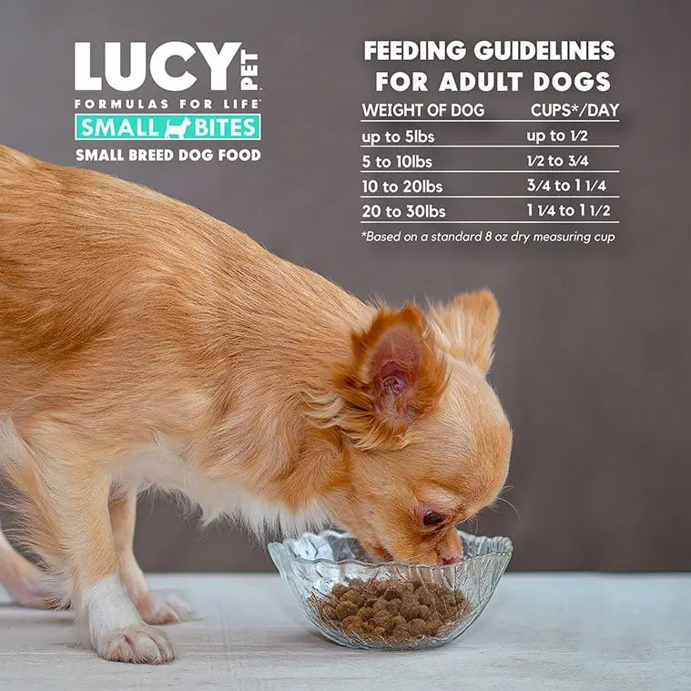 Lucy Pet Products High - Quality Formula for Life Limited Ingredient Diet (L.I.D.) Dry Dog Food with Wild Alaskan Salmon, Nutritious Pumpkin & Protein - Rich Quinoa