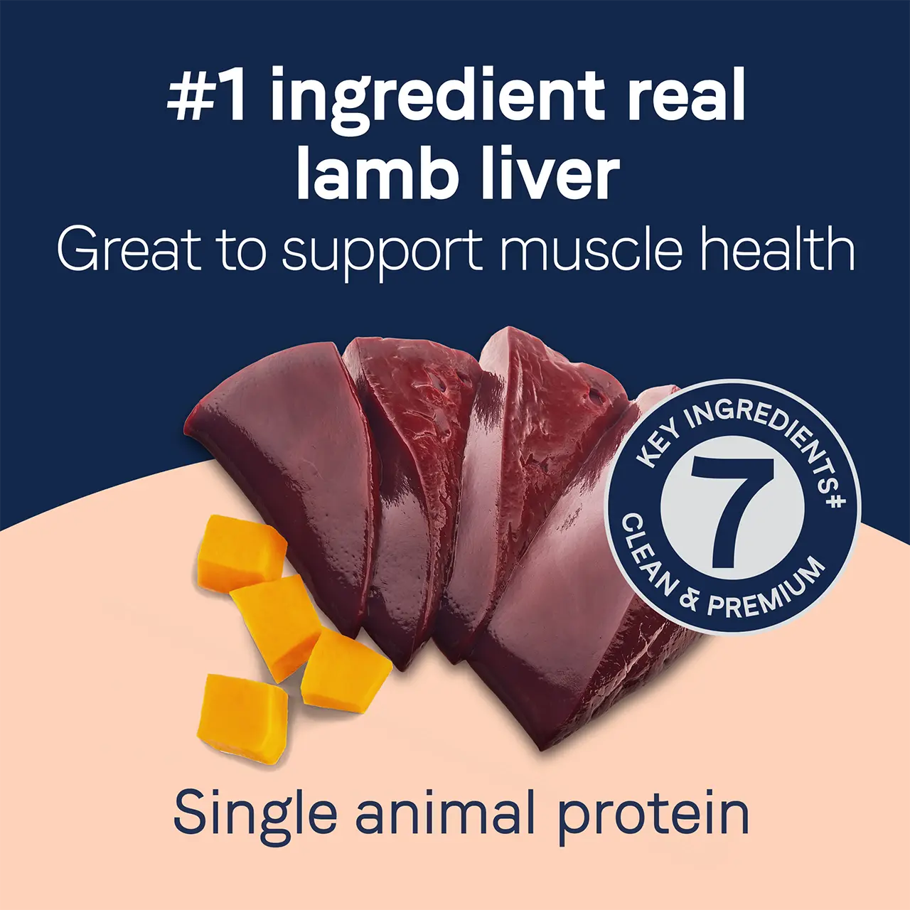 CANIDAE PURE Grain-Free Lamb Liver & Butternut Squash Dog Biscuit Treats - 11 oz