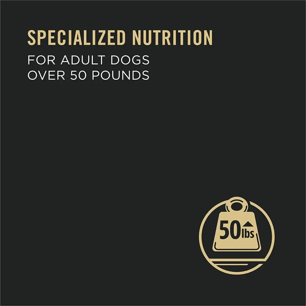 Purina Pro Plan Premium Large Breed Adult Wet Dog Food - Beef & Rice Chunks in Gravy, 12 / 13 oz Cans