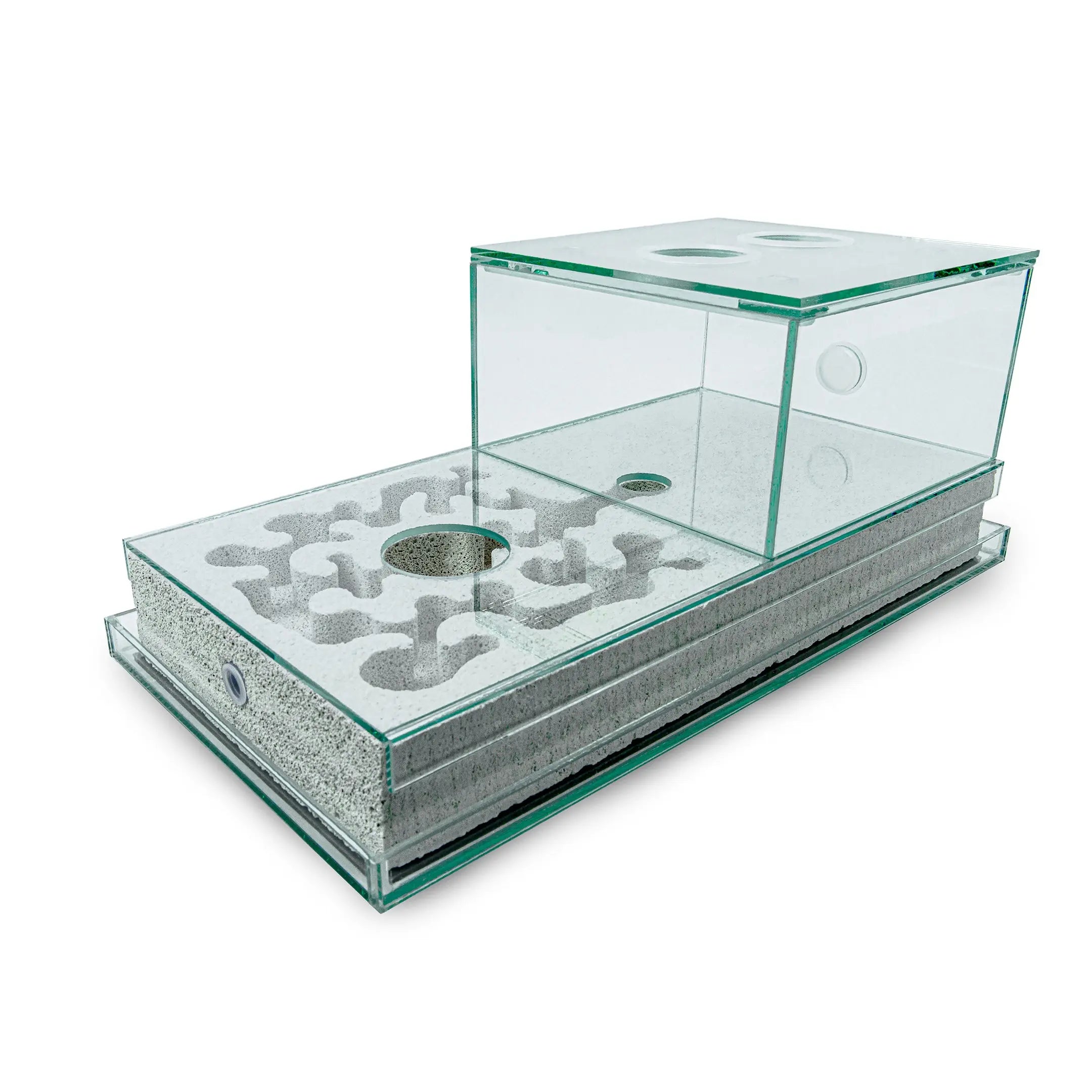 40×20 Ytong Aerated Concrete Ant Nest and Arena Combo Set