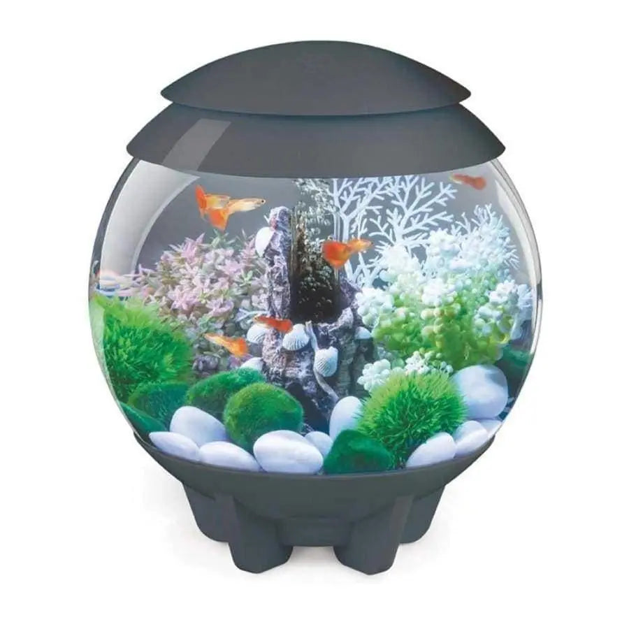 BiOrb HALO Multi-Color Remote-Controlled Acrylic Aquarium Kit for Beginner Fish Keepers