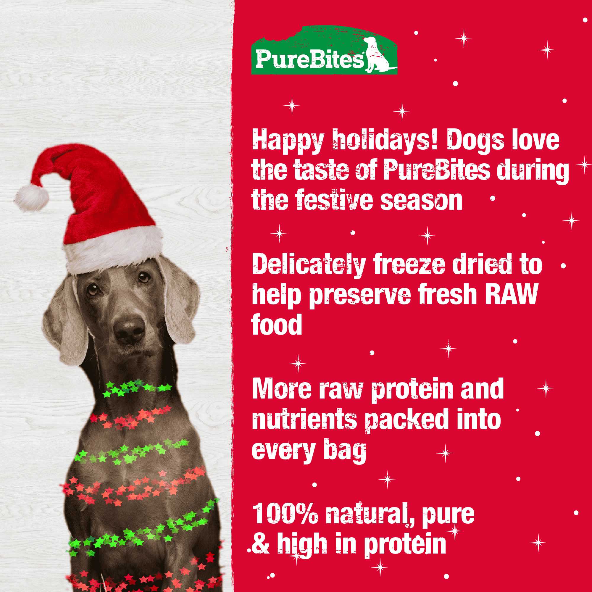 PureBites Festive Season Freeze - Dried Turkey and Sweet Potato Dog Treats, 2.5 oz Package