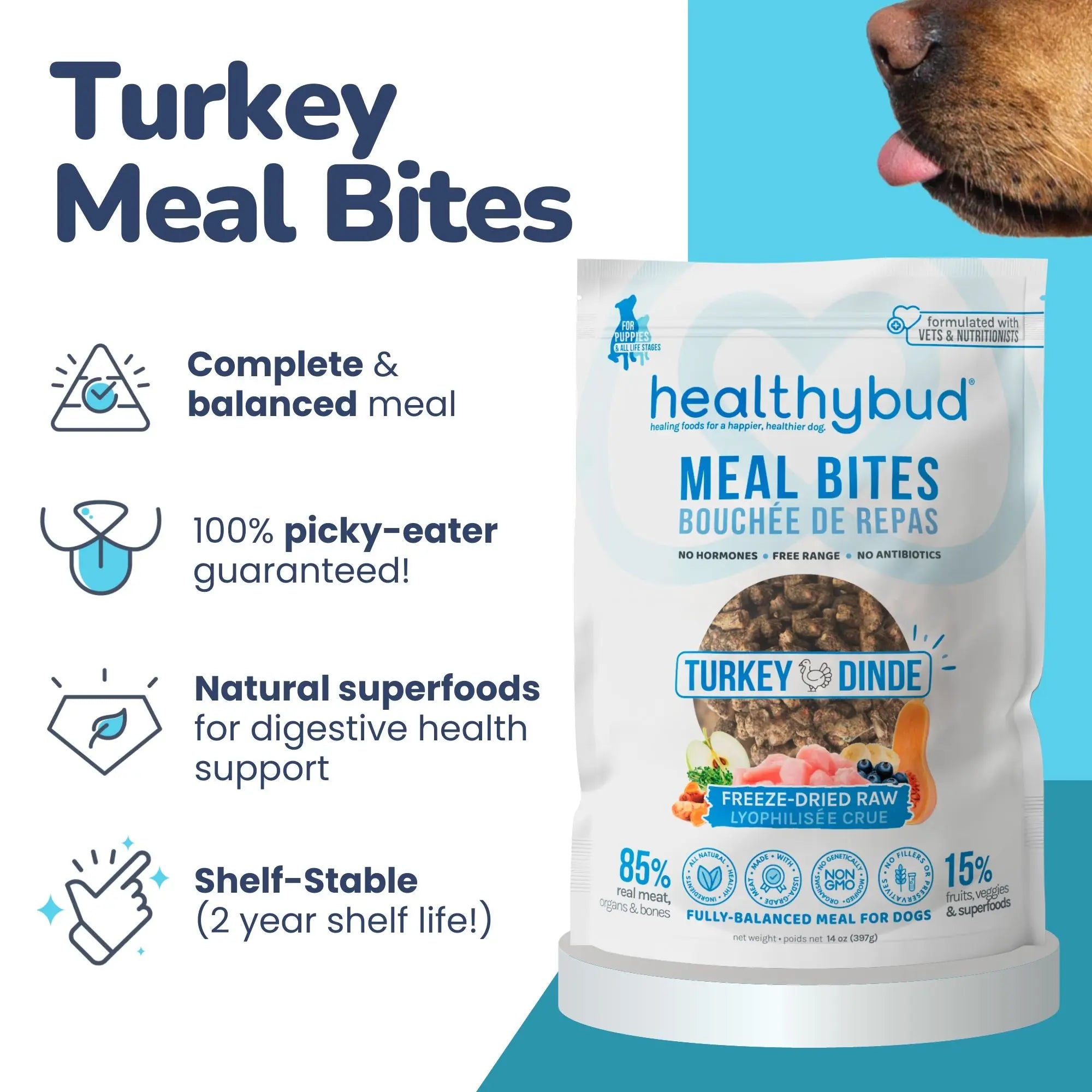 Healthybud 14Oz Freeze-Dried Turkey Meal Bites for Dogs - Nutrient-Rich & Convenient