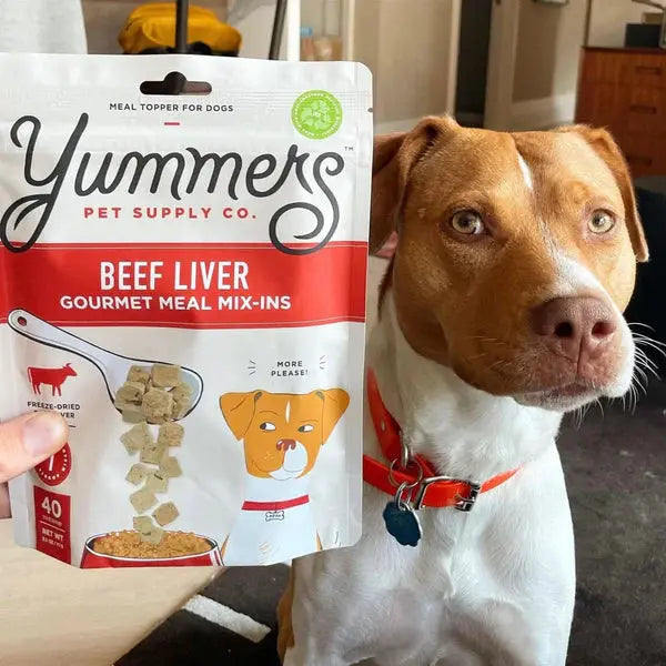 Yummers 2.5 oz Freeze-dried American Beef Liver Gourmet Topper for Dogs