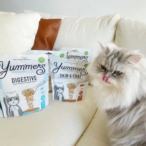 Yummers Premium Digestive Aid Supplement Mix-in for Cat Food Toppers, Featuring Savory Elk Flavor, 4 oz.