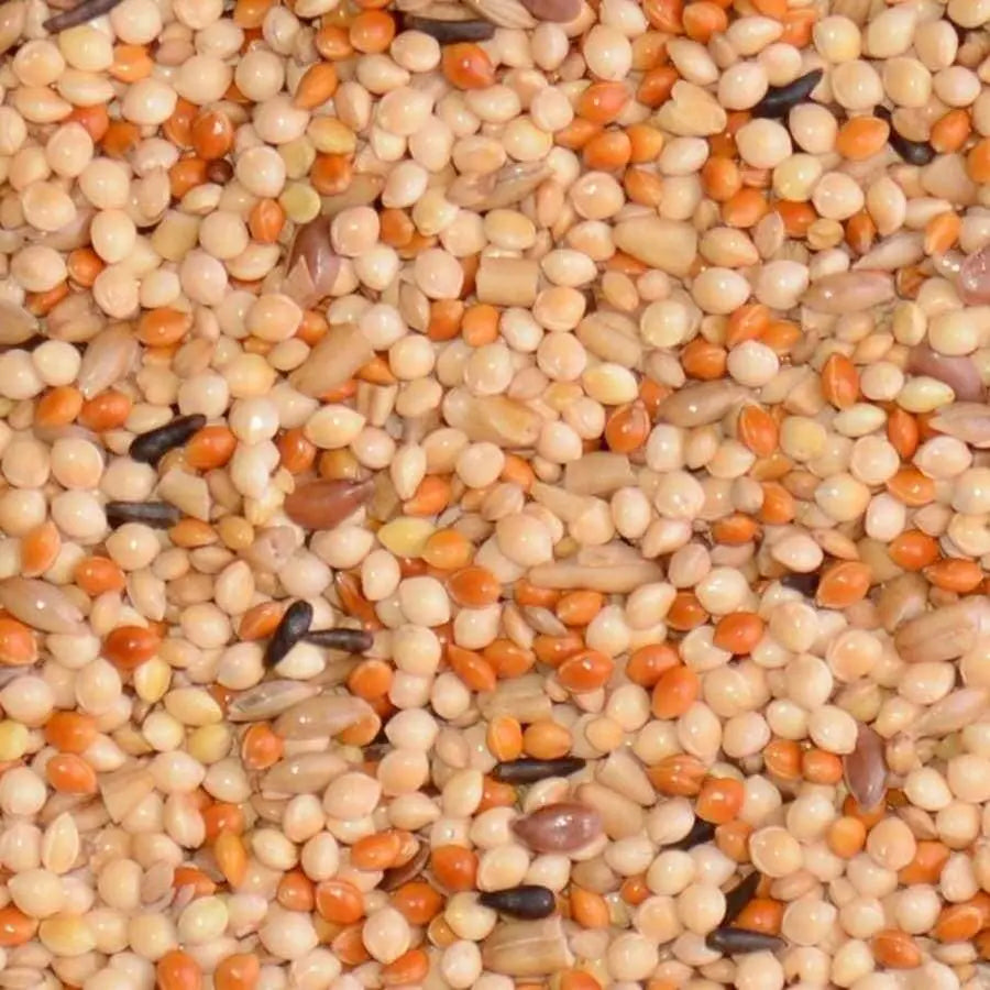 Volkman Seed Company's Premium Fancy Finch Food - A Delightful Mix of Bird Seeds for Finches