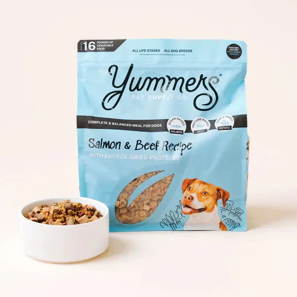 Delicious Yummers Dog Food: Salmon & Beef Recipe Enriched with Freeze - Dried Proteins
