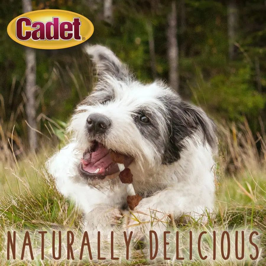 Cadet Gourmet Low - Fat Beef Hide Shish Kabob Dog Treats for Long - Lasting Chewing