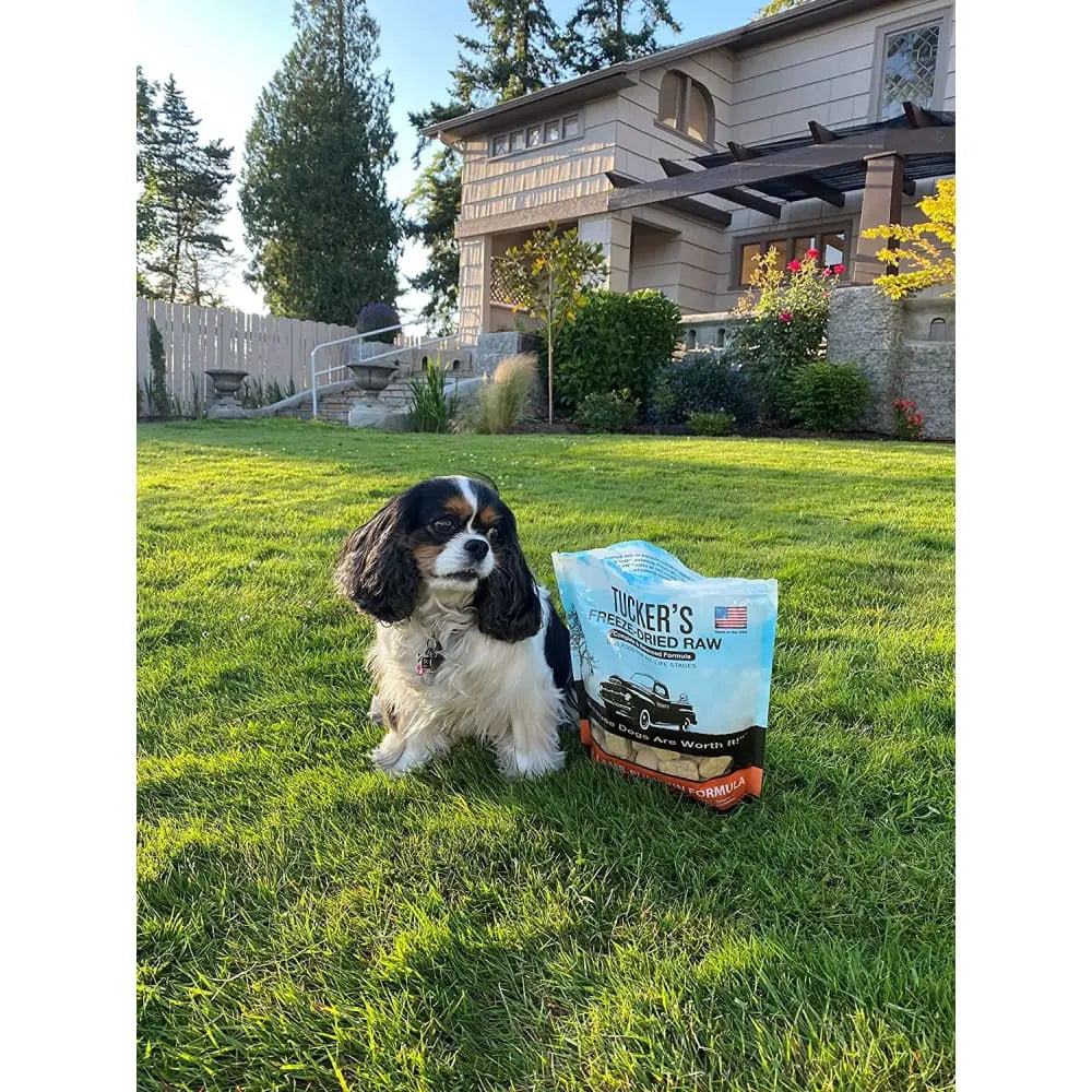 Tucker's® 14 Oz Freeze-Dried Dog Food: Pork, Lamb & Pumpkin Formula