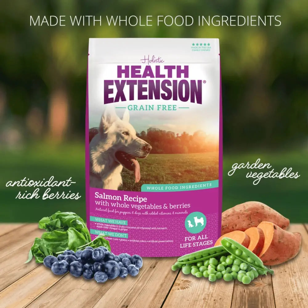 Healthy Grain-Free Salmon Dry Dog Food for Optimal Canine Wellness