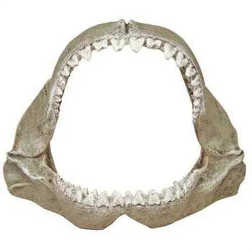 Blue Ribbon Exotic Great White Shark Jaws Realistic Aquarium Ornament