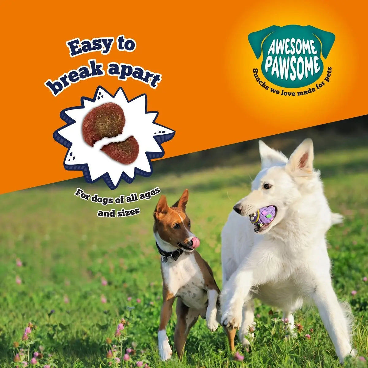 Incredibly Delicious Grass - Fed Free - Range New Zealand Beefy Dog Treats, 3oz Awesome Pawsome Variety