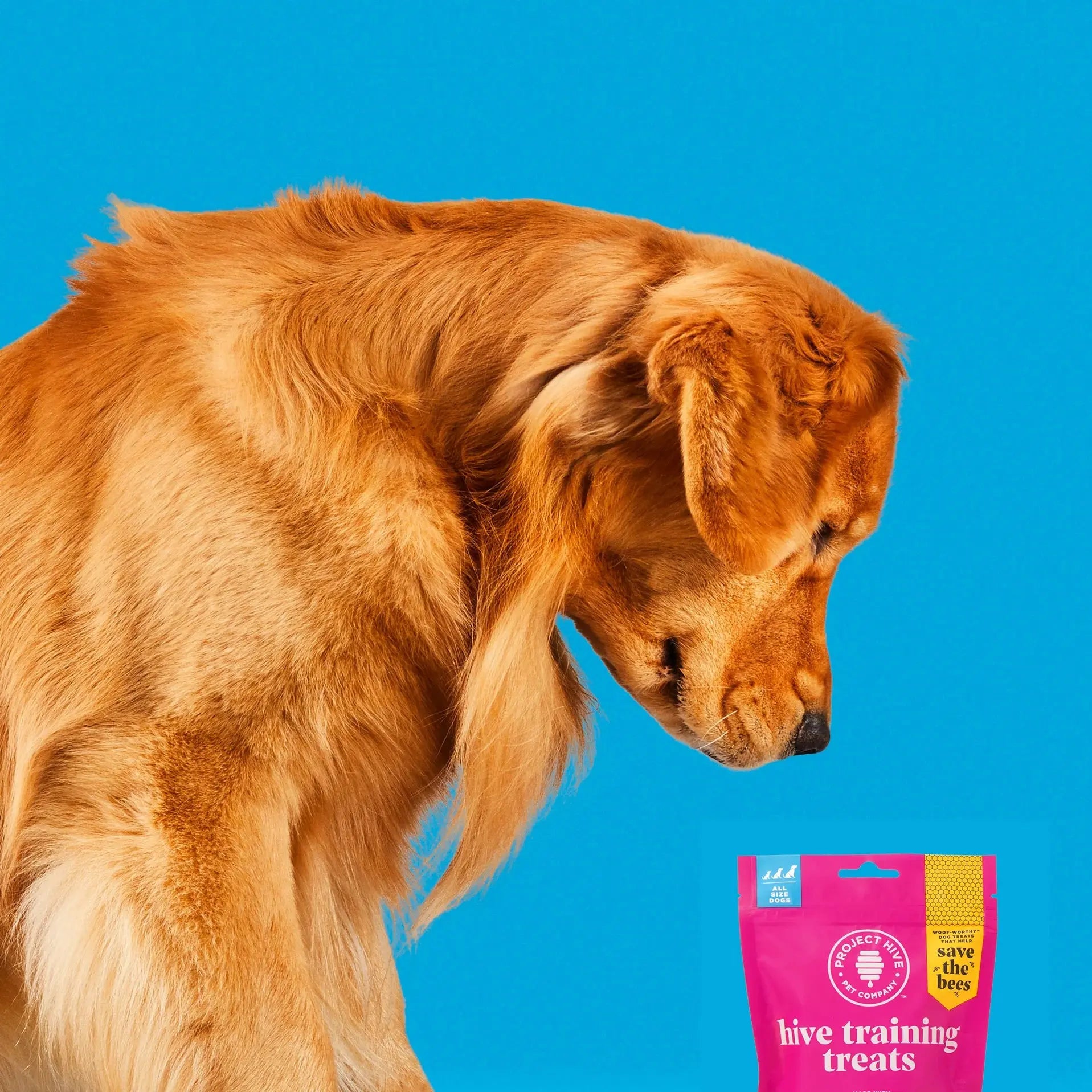 Project Hive Pet Company's High - Quality Hive Dog Training Treats for Effective Pup Training