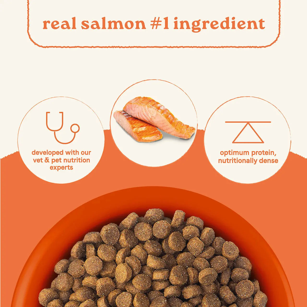 Premium All Life Stages Dry Dog Food with Real Salmon and Ancient Grains