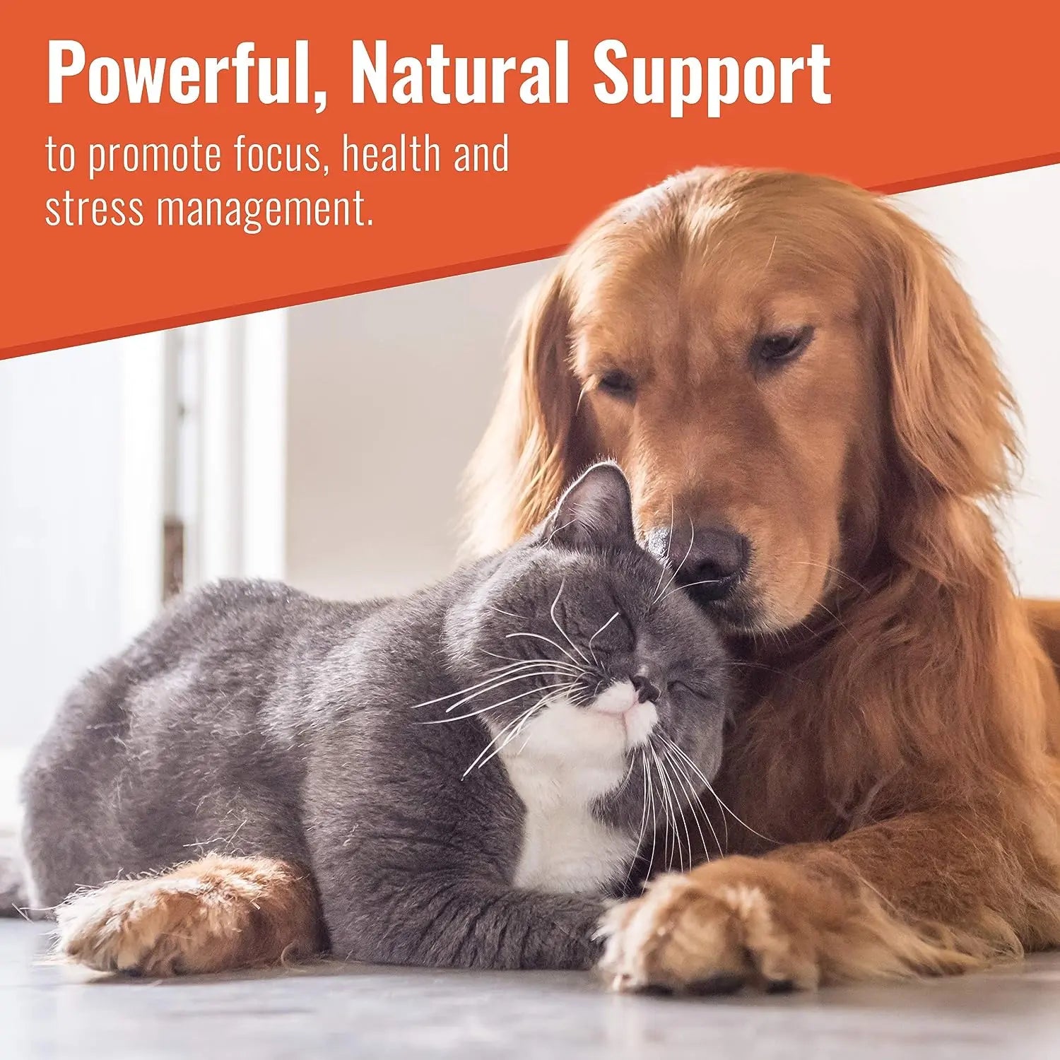 Canine Matrix Zen Calming Support Dietary Supplement for Dogs - 200g