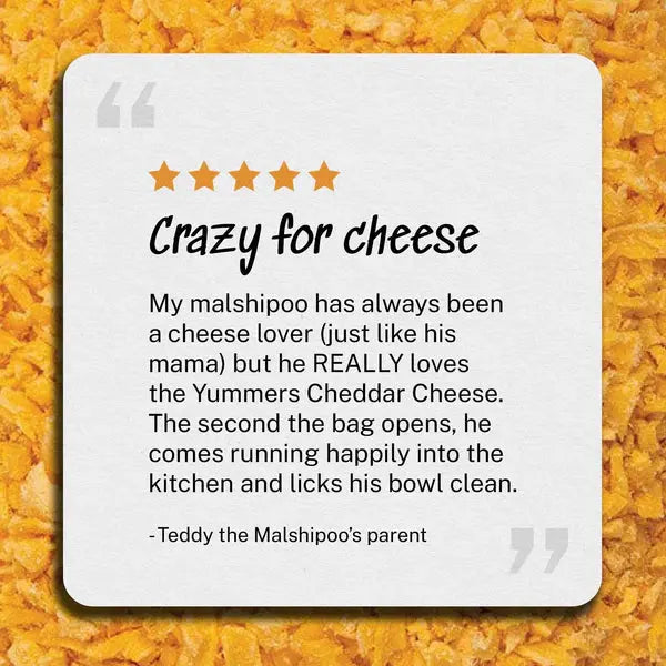 Yummers Gourmet Freeze - Dried Cheddar Cheese Meal Mix - in for Dog Food Topping, 2.5 - ounce Package