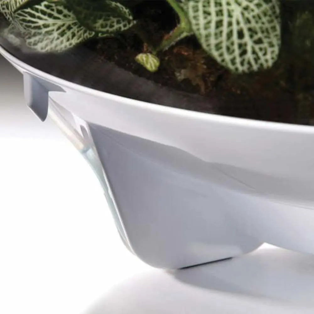 biOrb AIR 30 LED Acrylic Terrarium with Automated Care and 360 - Degree View