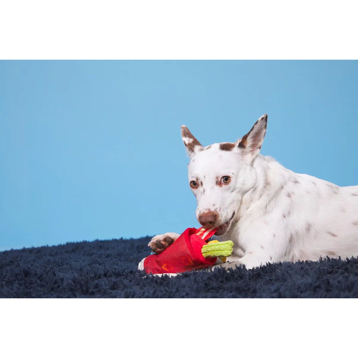 BARK Squeaky Bloody Mary Style Dog Toy for Energetic Pups
