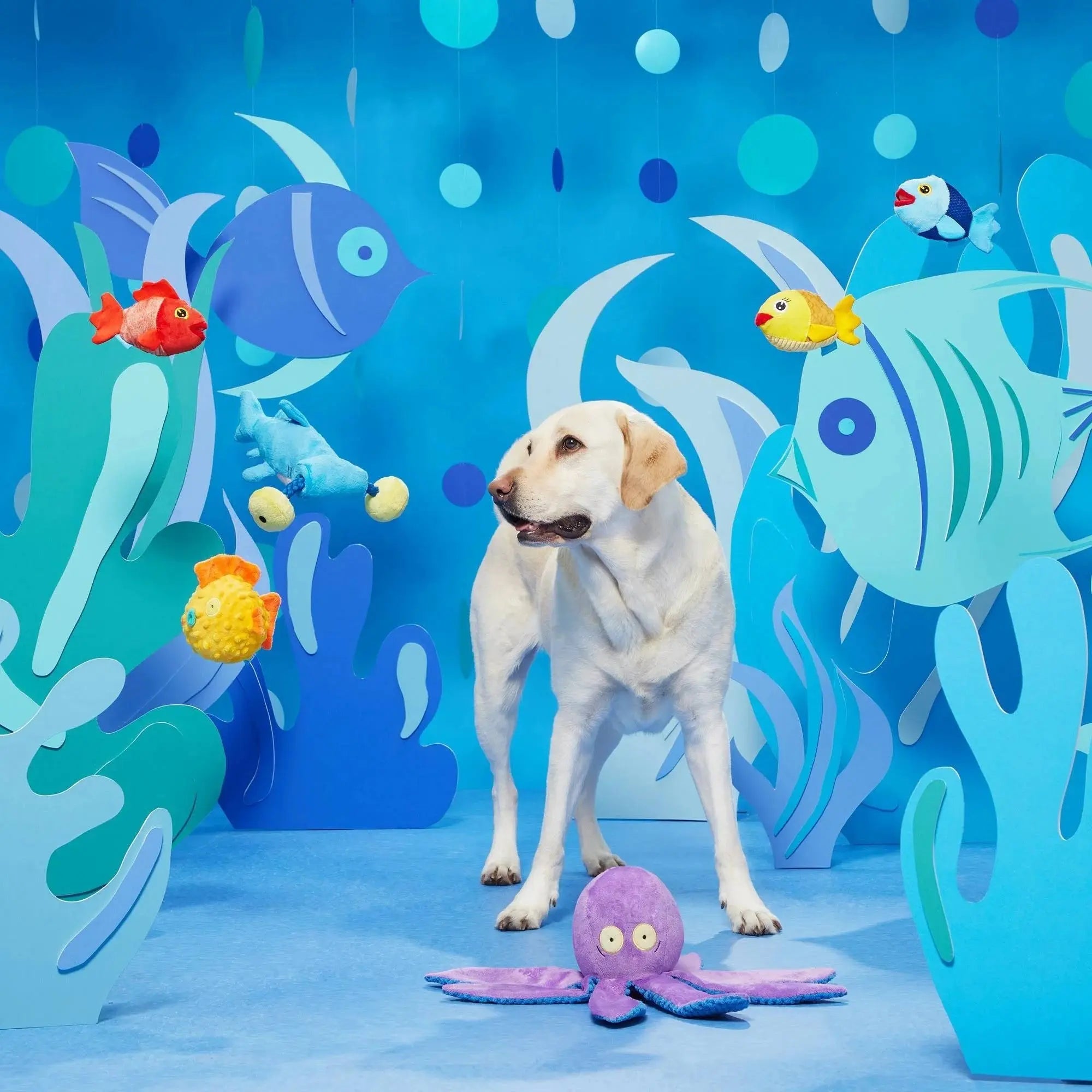BARK Hammerin' Hank the Shark Interactive Dog Chew Toys for Canine Fun