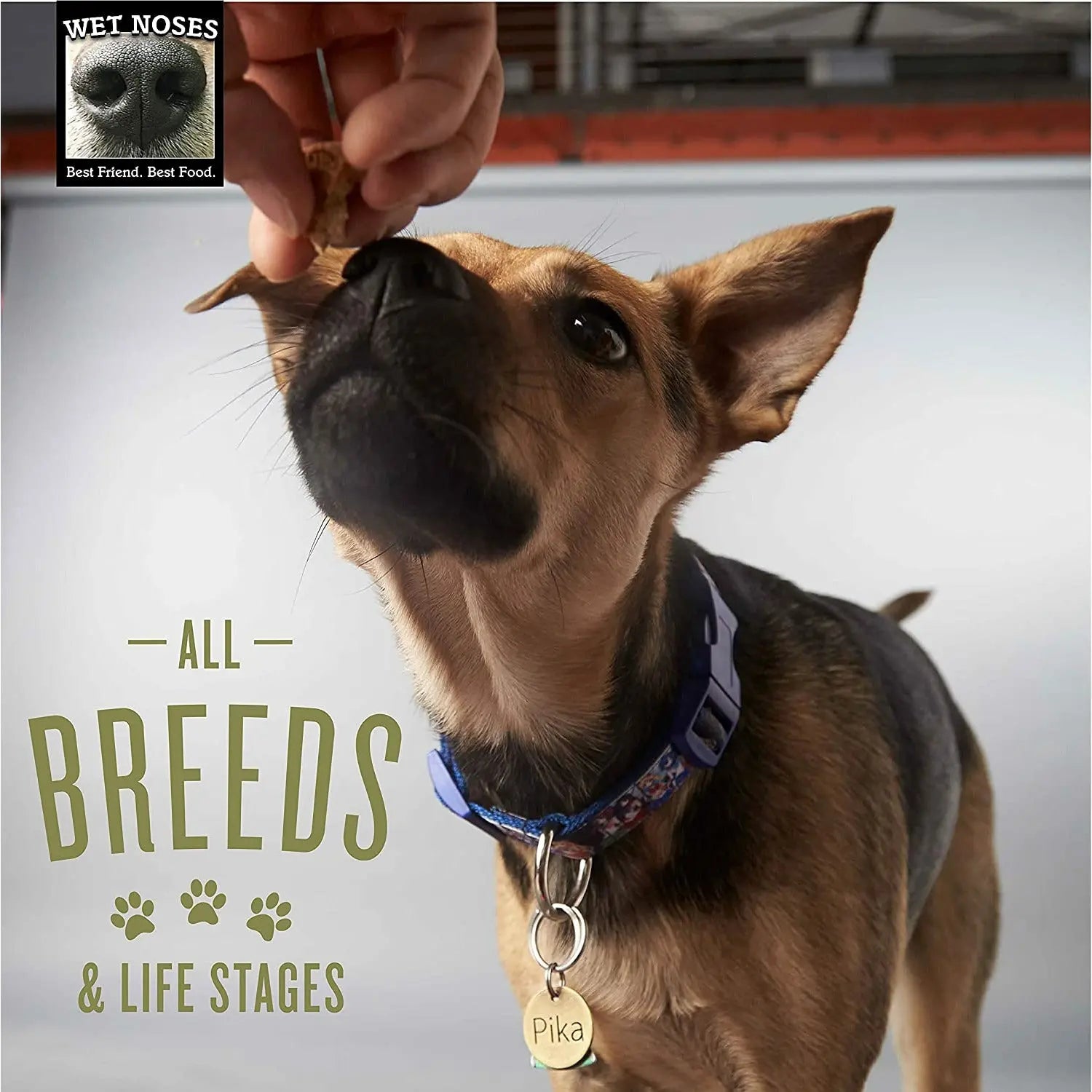 10 lb Bulk USDA Organic Non - GMO Wet Noses Dog Treats