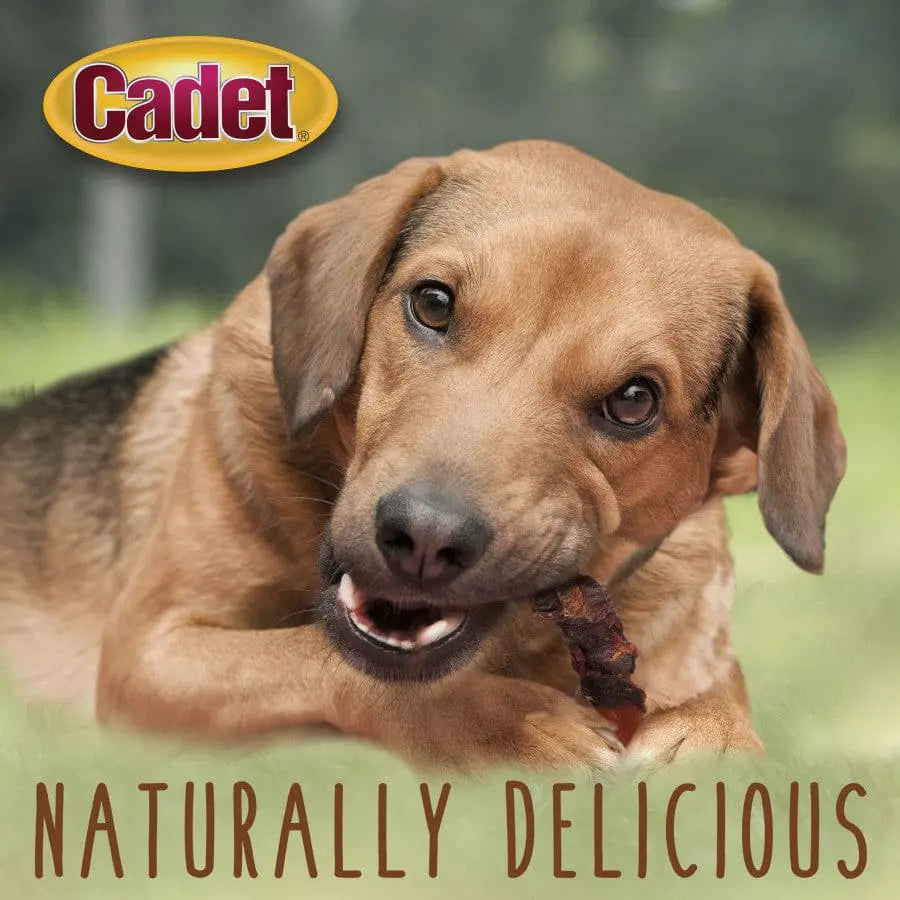 Cadet Gourmet High - Protein Duck & Sweet Potato Wrapped Dog Treats