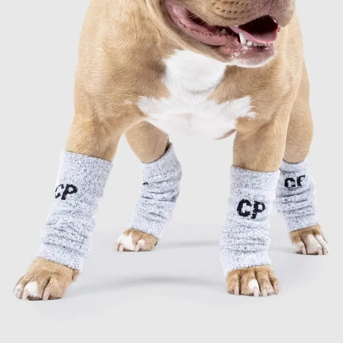 Canada Pooch Fashionable Knit Dog Leg Warmers - Snowy Fox Style for Winter Coziness