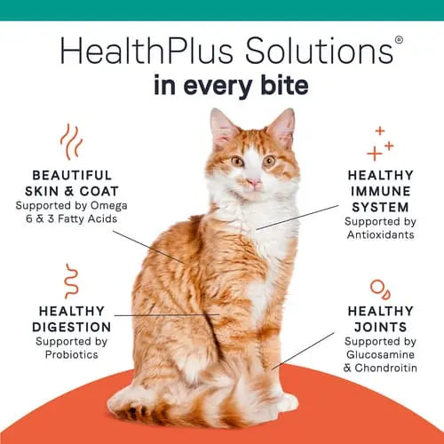 CANIDAE PURE Chicken Limited Ingredient Grain - Free Dry Cat Food for Sensitive Felines